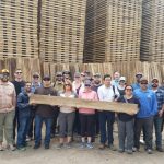Rough lumber stacked & drying