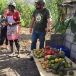 Subsistence farm in Mascarilla
