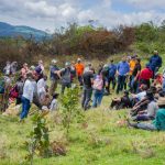 Highlands reforestation project