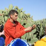 Thru Negev to Cactus Farm