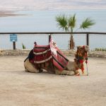 Dead Sea